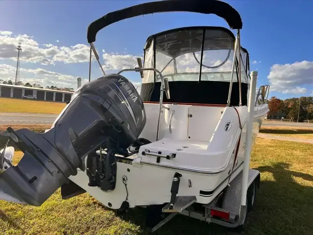 Robalo 22