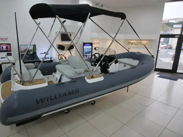 Williams Jet Tenders Dieseljet 505