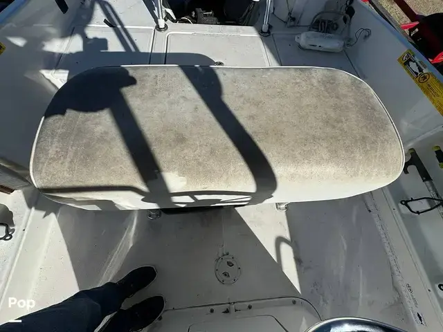 Bayliner Element F21