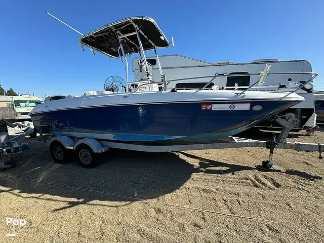 Bayliner Element F21