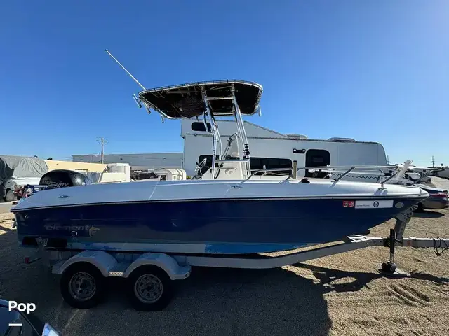 Bayliner Element F21