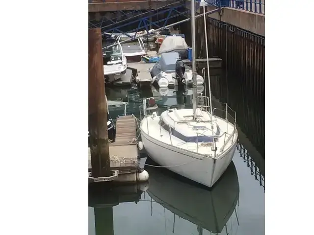 Contessa 27