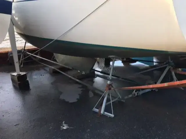 Contessa 27