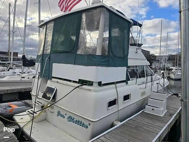 1994 Silverton 34 my