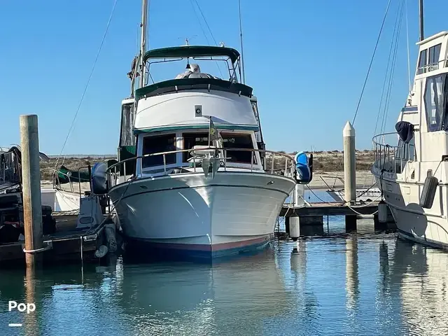 Trader 43 Double Cabin