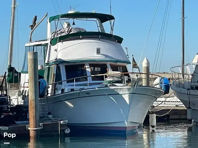 Trader 43 Double Cabin