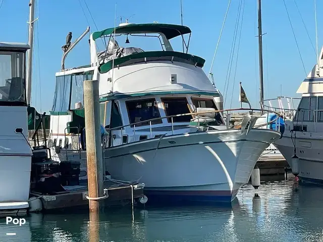 Trader 43 Double Cabin