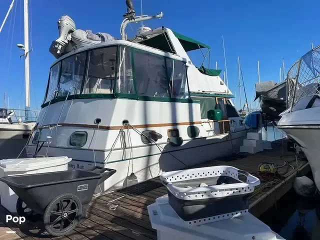 Trader 43 Double Cabin