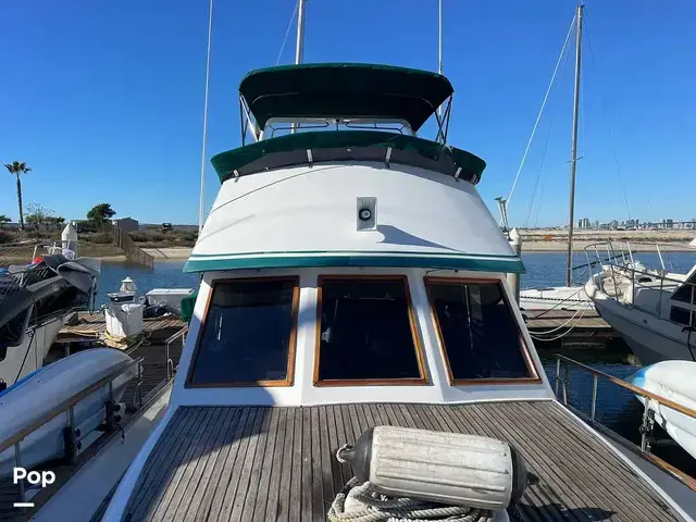 Trader 43 Double Cabin