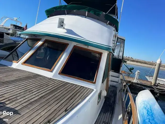 Trader 43 Double Cabin