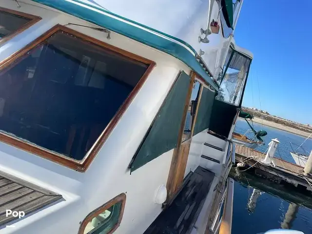 Trader 43 Double Cabin