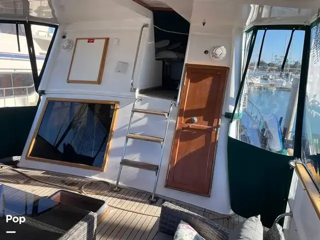 Trader 43 Double Cabin