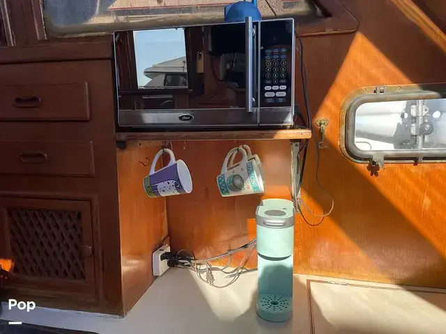 Trader 43 Double Cabin