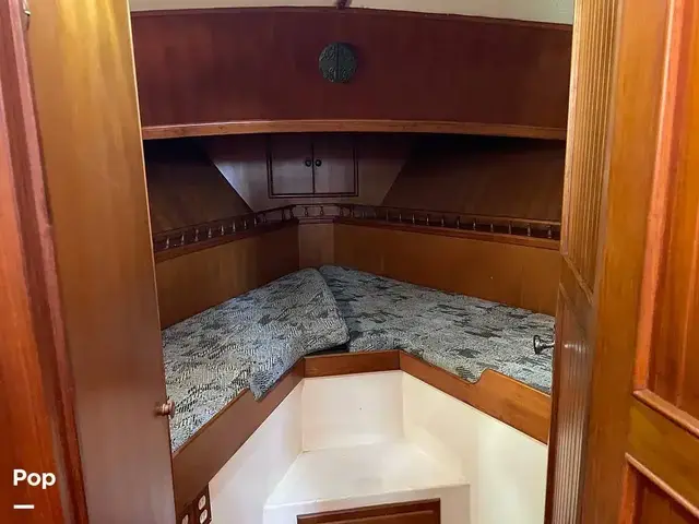 Trader 43 Double Cabin