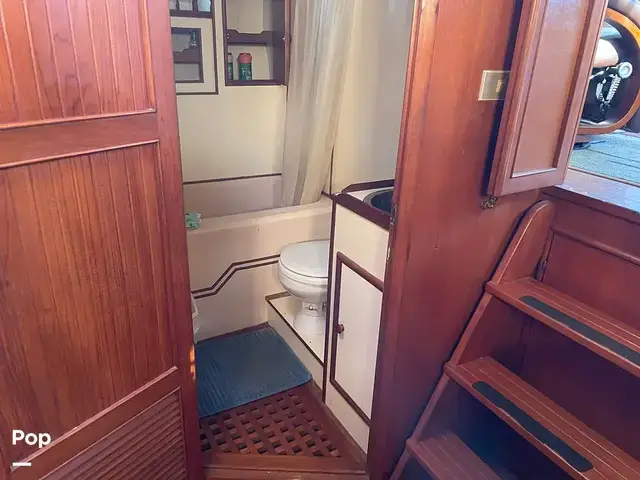 Trader 43 Double Cabin