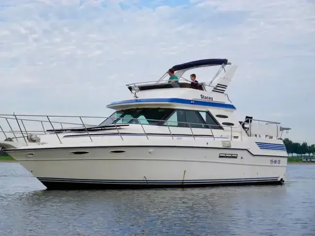 Sea Ray 415 Aft Cabin