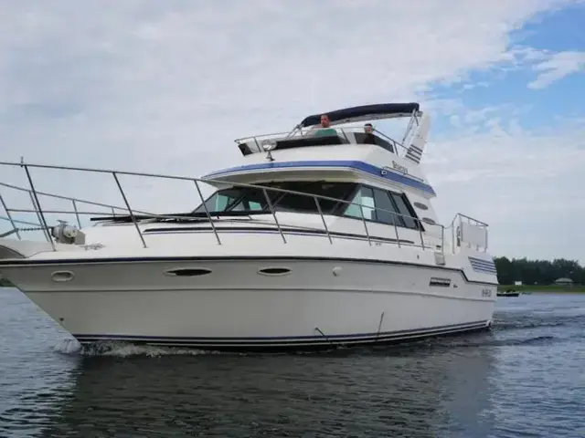 Sea Ray 415 Aft Cabin