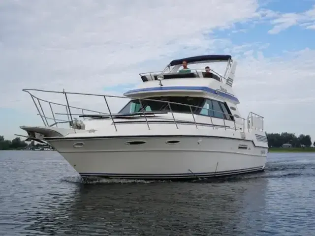 Sea Ray 415 Aft Cabin