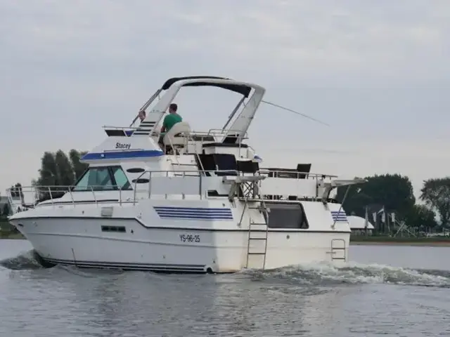 Sea Ray 415 Aft Cabin