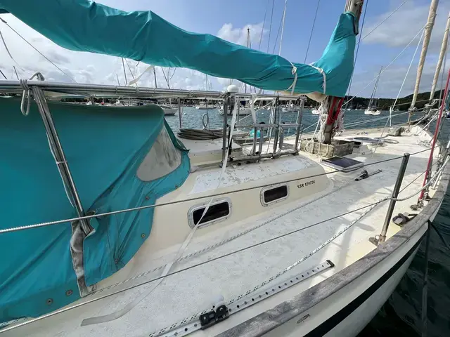 Tradewind 35