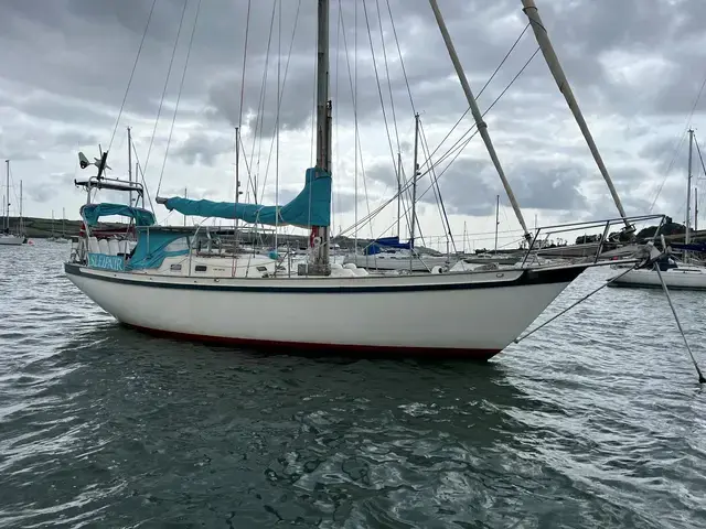 Tradewind 35