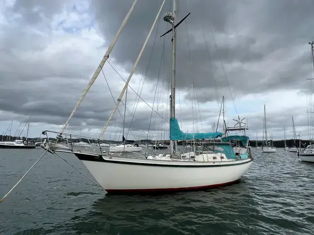 Tradewind 35