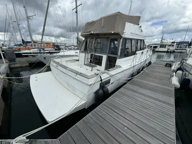 Bayliner 3288 Flybridge