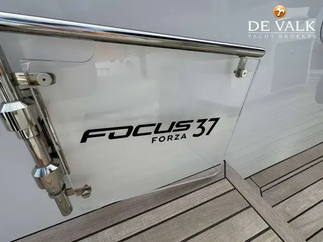 Focus Forza 37