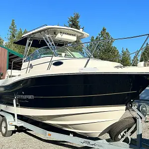 2005 Seaswirl Striper 2601 Walkaround Io