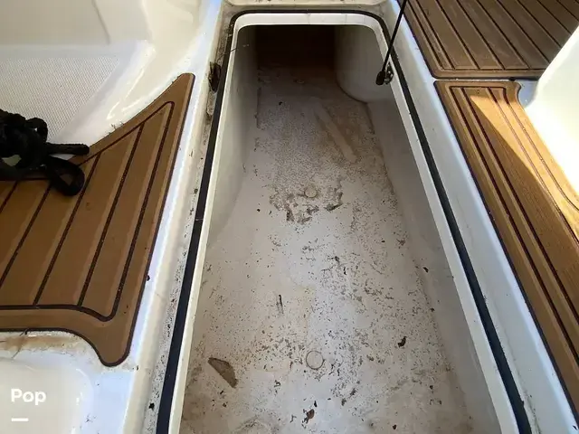 Bayliner Vr6