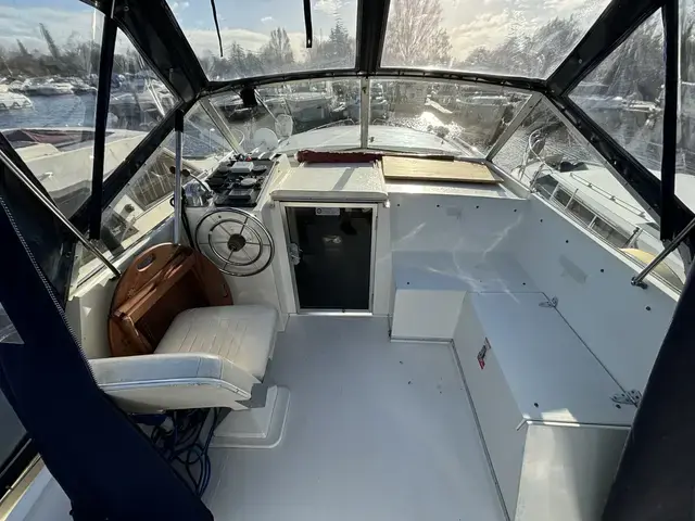 Broom 35 European