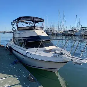 1990 Skipjack 262 Flybridge