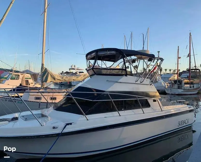 1990 Skipjack 262 flybridge