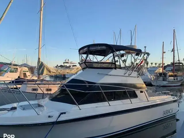 Skipjack 262 Flybridge