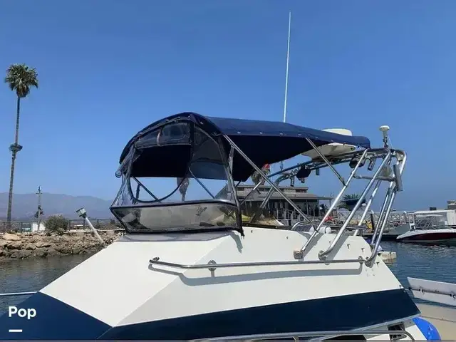 Skipjack 262 Flybridge