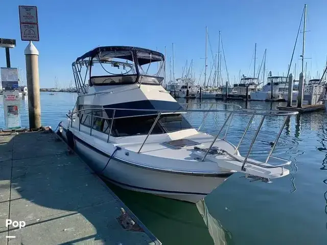 Skipjack 262 Flybridge