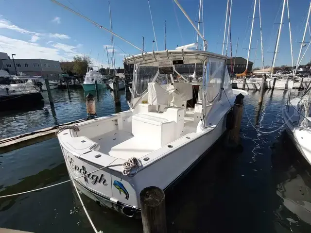 Sea Tek 36 Express