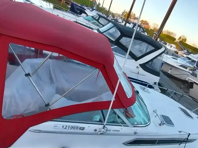 Rinker 260 Fiesta Vee