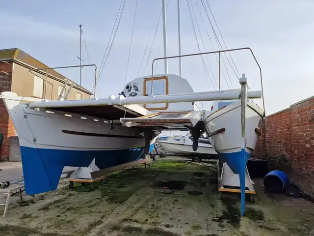 Wharram Tiki 38