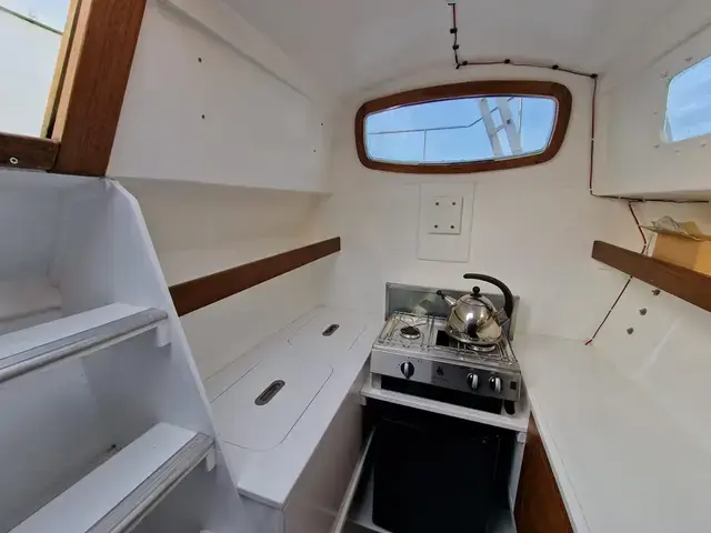 Wharram Tiki 38