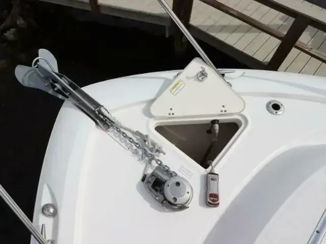 Boston Whaler 315 Conquest