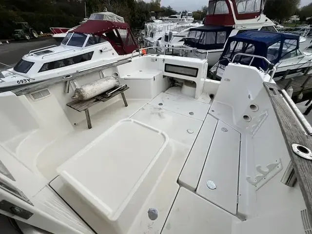 Arvor 230