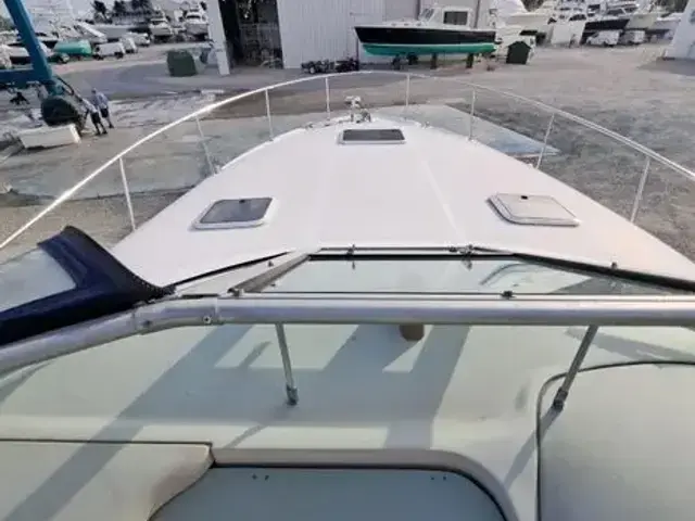 Sea Ray 340