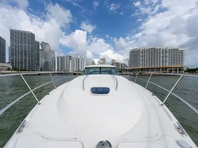 Sea Ray 43 Sundancer