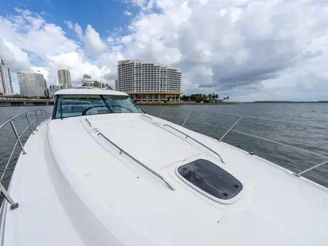 Sea Ray 43 Sundancer