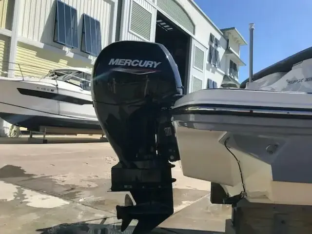 Sea Ray SPX 190 OB