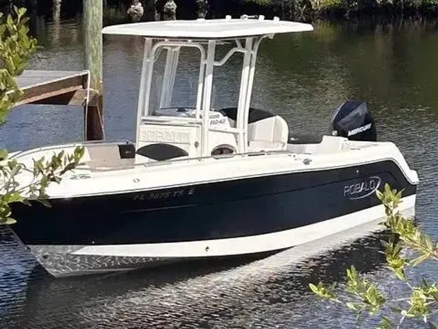 Robalo R242 Explorer CC