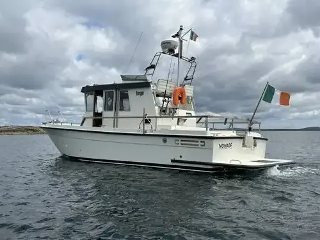 Botnia Targa 31