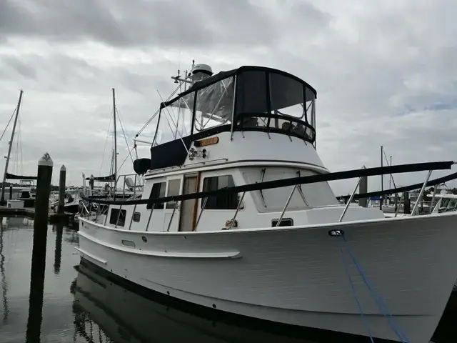 Monk Flybridge Trawler