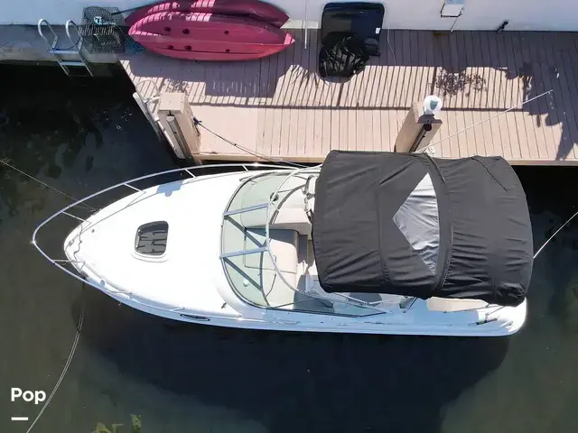 Sea Ray 240 Sundancer